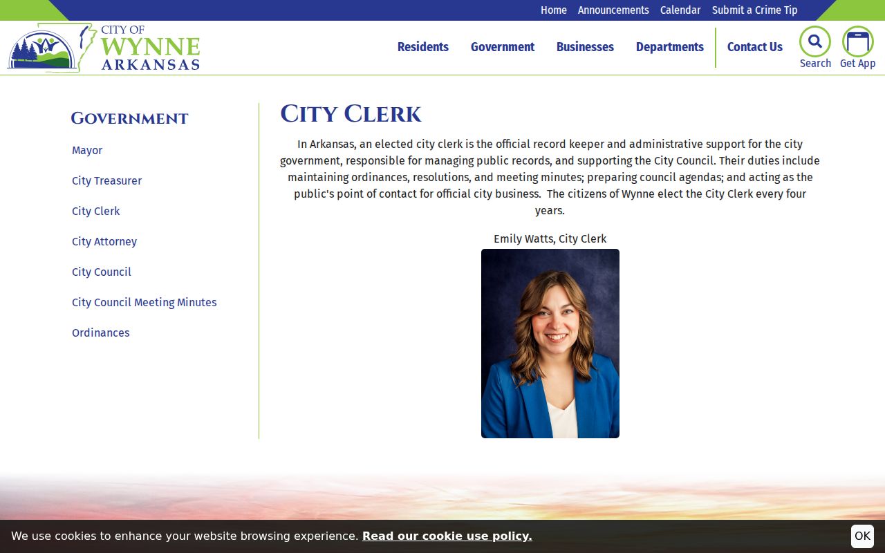 Wynne criminal records City Clerk public records page